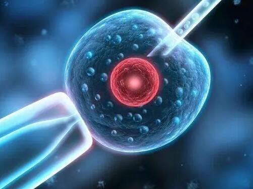 北京試管醫(yī)院 2023北京不孕不育醫(yī)院排名 ‘b超如何測男女’