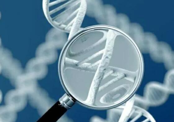 福州代生男孩地址 福州三代試管費(fèi)用明細(xì)表 ‘b超如何測(cè)男女’