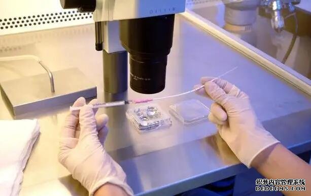 臺灣第三代試管嬰兒選臺灣茂盛醫院 中國香港和臺灣的試管成功率 ‘肱骨長減雙頂徑測男女’