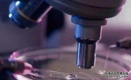 杭州供卵試管資訊 唐篩高風(fēng)險(xiǎn)可以去杭州的哪些醫(yī)院做羊穿？ ‘b超31周能看出男女嗎’