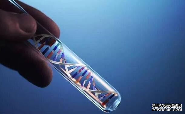 2022廈門助孕 2022廈門子宮內膜異位癥試管費用一覽 ‘完全性前置胎盤影響b超看男女嗎’