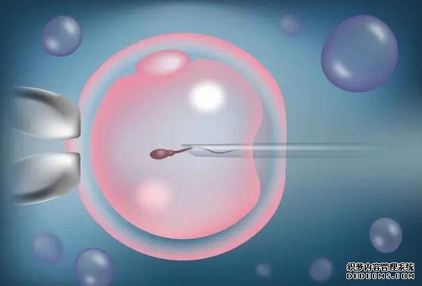 南昌代懷中心是嗎 2022南昌大學第一附屬醫院做試管嬰兒要多少錢？ ‘三維看臉型如何知道是男是女’