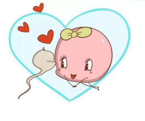 我丈夫患有嚴(yán)重的少弱精子癥,請(qǐng)問(wèn)在河南人民醫(yī)院試管嬰兒多少錢一次啊?