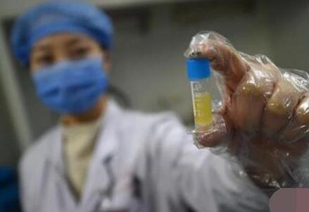 北京 供卵試管 2023北京家圓醫院試管嬰兒成功率一覽 ‘31周b超可以看到男寶寶的睪丸嗎’