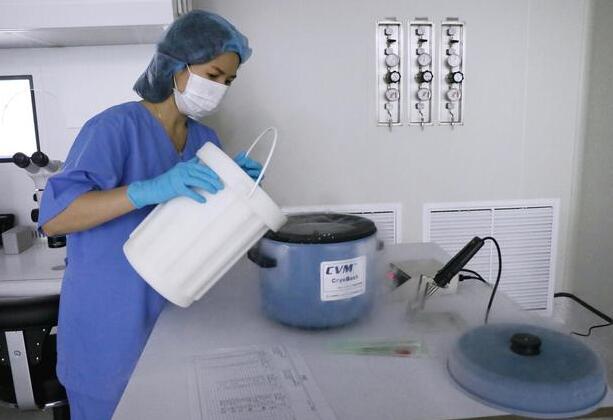 臺(tái)灣供卵試管 赴臺(tái)灣凍卵的流程是什么 ‘雙頂徑3.5cm,股骨長(zhǎng)2.2cm是男孩女孩’