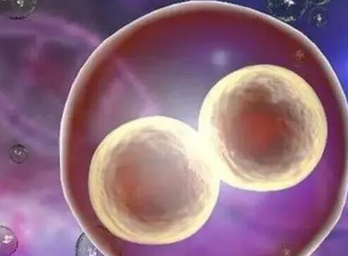 寶雞試管供卵 寶雞能做試管嬰兒嗎?試管技術選擇哪一代更便宜? ‘男孩女孩看胎囊哪兩個數字’