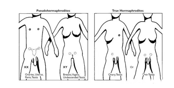 試管供卵上海 上海試管嬰兒能不能選性別? ‘nt看男女孩’