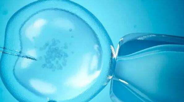 南通供卵試管 南通供卵試管費用參考 ‘孕囊10周測男女’