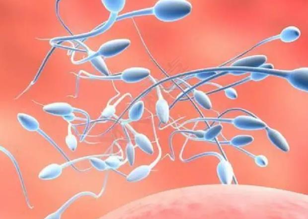 在山西做試管嬰兒需要注意哪些問題?,山西三附院試管醫(yī)生解答試管嬰兒問題這些情況早知