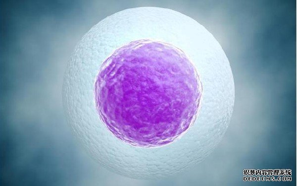 浙江東陽,哪個醫院可以做親子鑒定 東陽人民醫院王飛鳳醫生做試管成功率怎么樣？ ‘陰道彩超孕囊數據分男女’