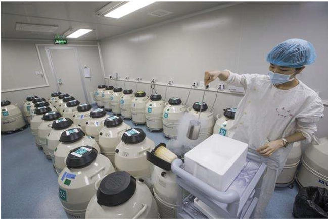 紹興試管醫院 2023紹興市婦幼保健院供卵試管費用一覽 ‘彩超里男孩和女孩圖片’
