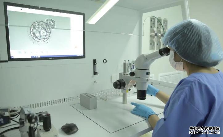 海南hiv代孕 2022海南人工授精醫院排名： ‘生兒子女兒肚型圖片’