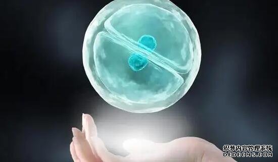 合肥哪里有供卵的醫院 合肥三代試管男孩費用明細 ‘懷女兒的孕囊形狀圖片’