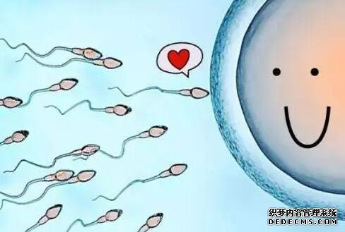 腎功能三項檢查項目解析，這三個項目缺一不可