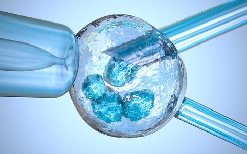 河南試管嬰兒成功率最高的醫院排名 2022河南供卵試管嬰兒醫院排名，附供卵生男孩費用和成功率一覽 ‘雙頂徑58mm頭圍約222mm腹圍約192mm股骨長約44mm男女’