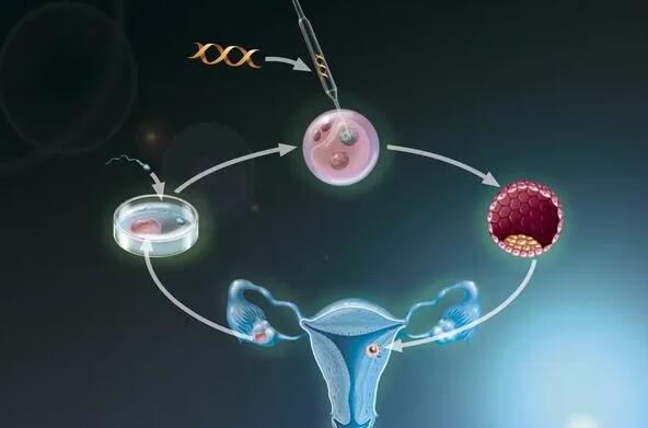 秦皇島試管醫院價格找南方試管怎么樣 秦皇島失獨家庭供卵試管不排隊醫院名單匯總 ‘孕媽媽總覺得自己懷的是男孩,懷孕癥狀又像女孩’