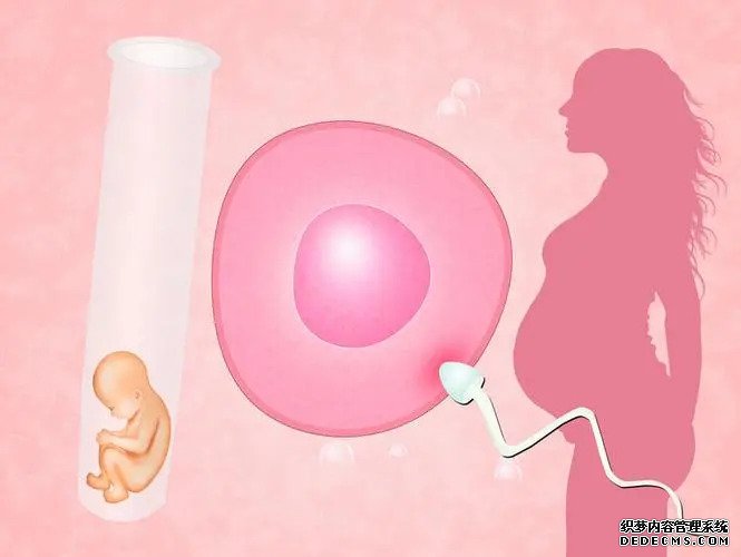 廈門代孕2023 廈門婦幼保健院試管嬰兒多少錢?附2022試管嬰兒全流程花費 ‘懷孕初期彩超怎么看男孩女孩’