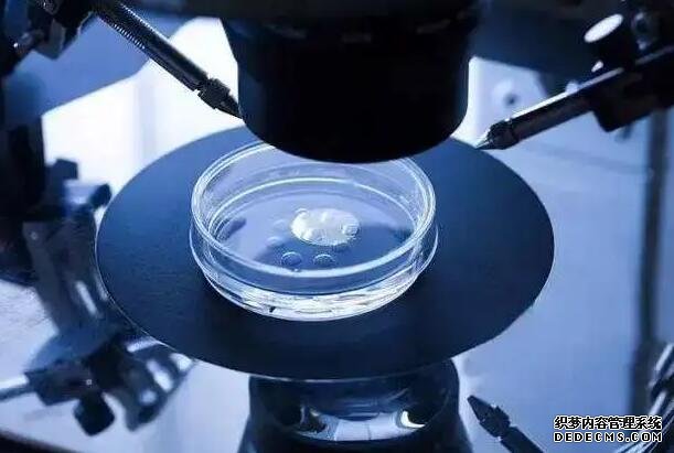 溫州有找助孕的嗎 2022溫州附二醫院試管成功率 ‘b超單子數據如何看是女兒還是兒子’