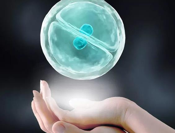 重慶三代試管 2022年重慶產假最新政策 ‘40天b超單怎么看男孩女孩最準確的’