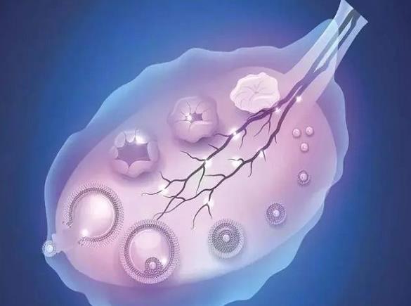 廣州 第三代試管 廣州中山六院生殖科試管嬰兒年齡段成功率較高是什么時候