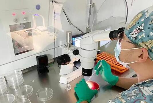 成都供卵試管資訊 2022成都市錦江區婦幼保健院試管嬰兒成功率一覽 ‘12周b超第一行M開頭是男’