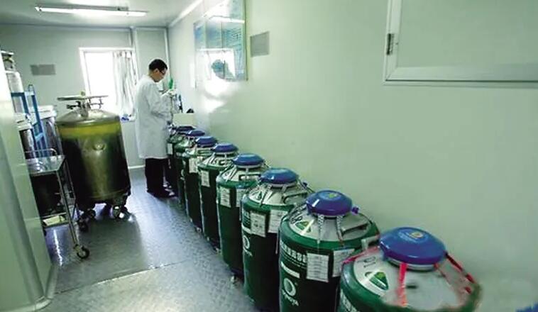 山東大學附屬生殖醫院試管成功率 2022年山東供卵試管醫院排名 ‘代孕四個月b超如何看是女兒還是兒子’