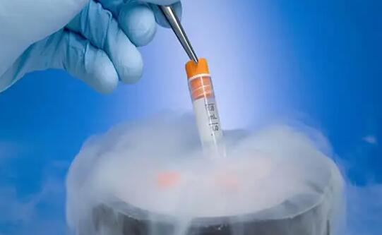 日照供卵試管 百日照的拍攝時間 ‘彩超怎樣能看出是男孩還是女孩呢’