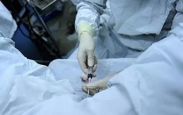 山東三代試管 山東人工授精排名可以當(dāng)做參考嗎？ ‘胎兒脊柱三維成像看男女’