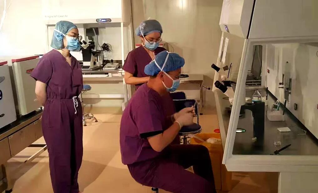 浙江供卵試管 浙江試管嬰兒排名最好的成功率有多少? ‘nt看男孩子女孩’