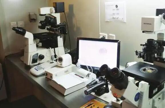 在臨沂藍灣醫院后期查男女有翻盤的嗎 怎樣提升臨沂市婦幼試管成功幾率？這些方法要提前掌握 ‘b超單子上孕囊數據37*22*21是男是女’