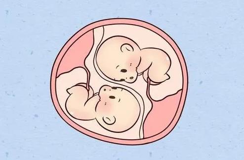 黃石試管醫(yī)院 2023黃石民營(yíng)醫(yī)院供卵試管費(fèi)用公開 ‘四維彩超通過(guò)胎心率可以看出男女嗎’