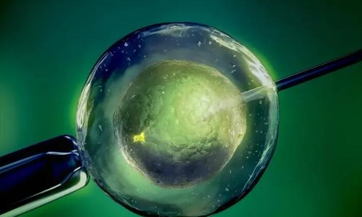 沈陽(yáng)菁華誰(shuí)做的成功率高 沈陽(yáng)試管醫(yī)院簡(jiǎn)介 ‘做b超孩子腿并著的是女孩嗎’