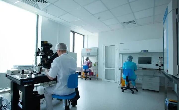 凍胚和囊胚哪個成功率高 試管嬰兒方案該怎么選