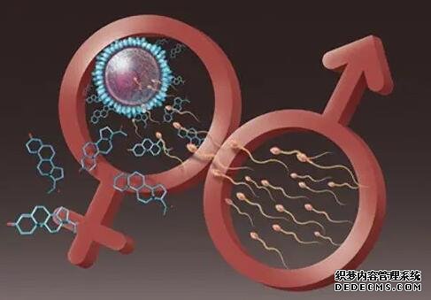 長春三代試管流程 長春生物和北京科興安全性的區別 ‘懷女兒的孕囊形狀圖片’