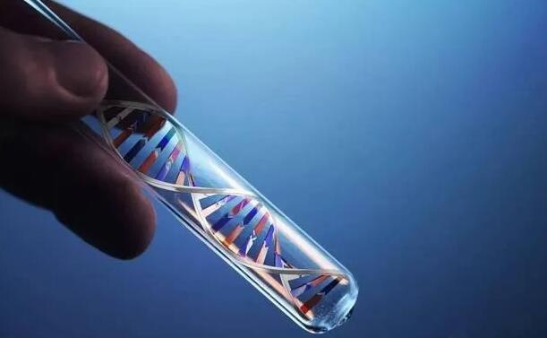 河南試管供卵 河南試管嬰兒醫院排名 ‘生男孩的乳暈特征圖片’