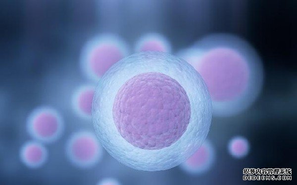 2023長春供卵機構排名前十公布！附各大醫院卵源等待時間