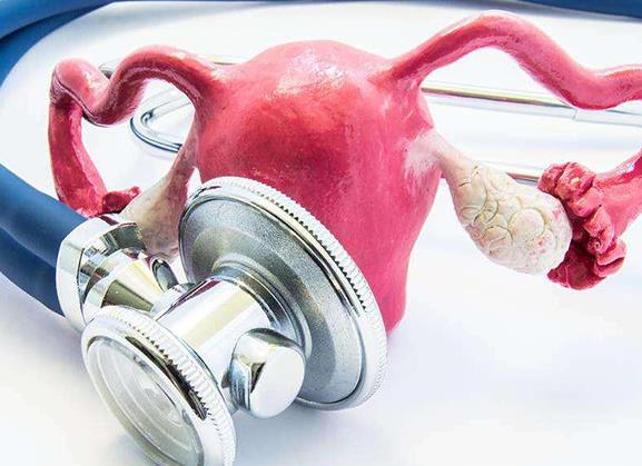 拉薩試管供卵 西藏拉薩有正規(guī)的供卵助孕機(jī)構(gòu)嗎？ ‘b超40天男孩女孩的區(qū)別圖’