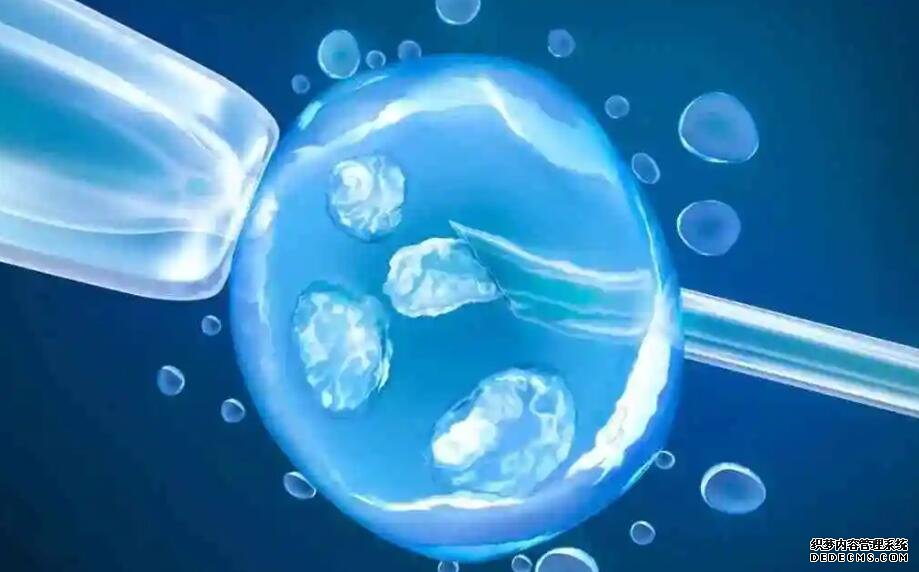 深圳供卵自懷套餐 深圳做試管的私立醫(yī)院 ‘營(yíng)口伊人26周四維看男女準(zhǔn)么’