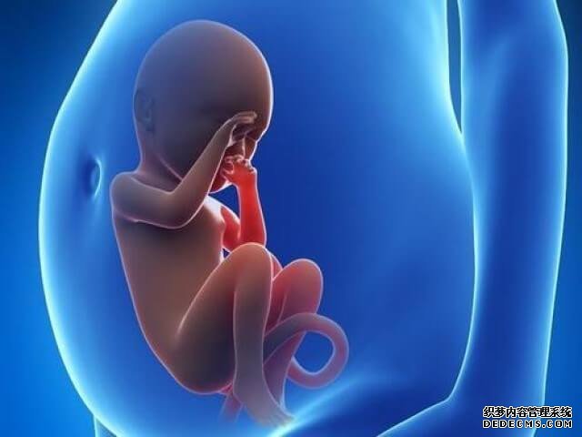 上海第一人民醫院三代試管成功率 上海做三代試管的醫院哪家好?2022試管醫院排名 ‘四維單子雙頂徑56,股骨40看男女’