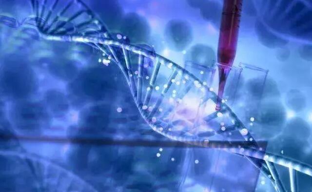 多囊做試管嬰兒成功率是多少