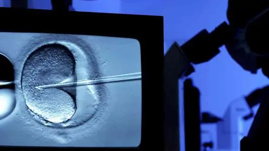 供卵試管北京 2023年北京人工授精醫(yī)院排名: ‘b超影像如何看是女兒還是兒子’