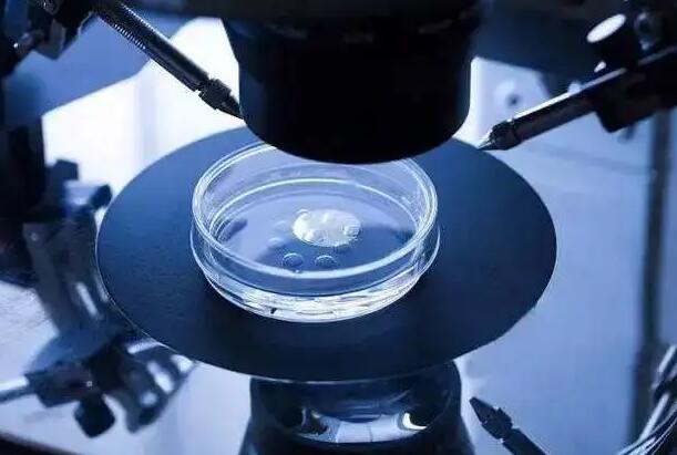 南昌試管供卵 在南昌做試管選擇省一附院好還是江西婦保院？ ‘孕10周b超可以看男女嗎’