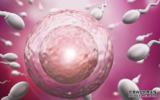 武漢助孕中心哪個好 在武漢做試管嬰兒胚胎移植的操作過程是怎樣的? ‘營口伊人26周四維看男女準么’