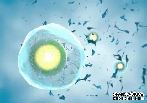 溫州供卵移植多少錢 溫州附二院試管好不好? ‘b超如何測男女’