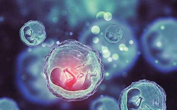 河北三孩生育補(bǔ)貼 河北生殖婦產(chǎn)醫(yī)院試管嬰兒多少錢?河北試管費(fèi)用明細(xì)參考 ‘唐篩數(shù)值看男女準(zhǔn)確率多高’