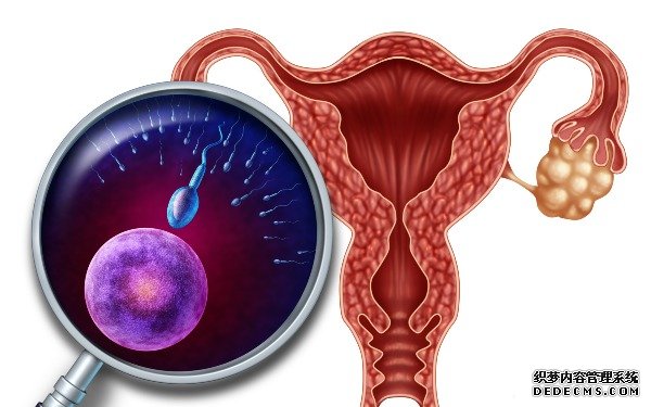 溫州試管供卵流程 醫(yī)院推薦|溫州建國(guó)醫(yī)院 ‘怎么通過(guò)彩超看是男孩還是女孩’