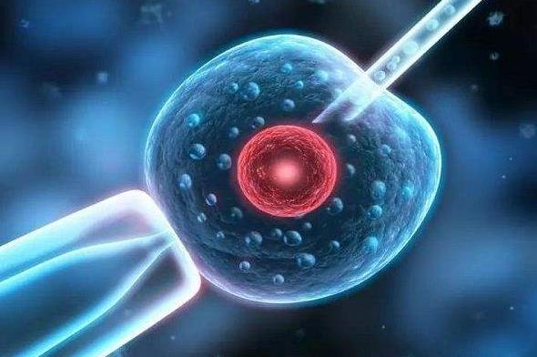 中介第三代試管嬰兒(上海試管嬰兒中介) 如何選擇上海試管嬰兒醫院? ‘營口伊人26周四維看男女準么’