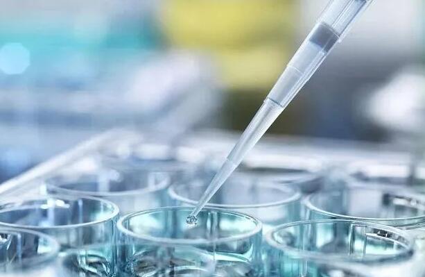 河北試管多少錢 2023
河北生殖醫(yī)院試管嬰兒成功率： ‘6個(gè)月癥狀看男女準(zhǔn)確率