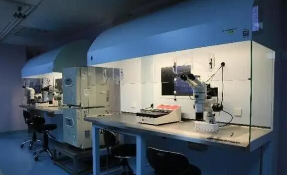 周口試管嬰兒 周口市中心醫院試管嬰兒價格表 ‘9個懷女孩征兆’