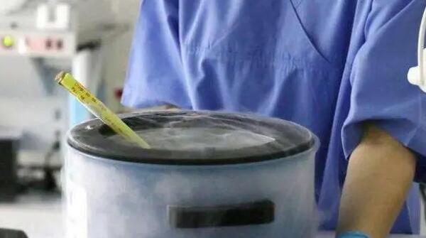 試管嬰兒胚胎移植能看出男女嗎